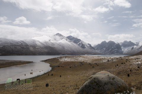 久治至色达行程DSC_9597