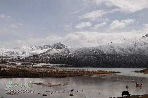 久治至色达行程DSC_9602