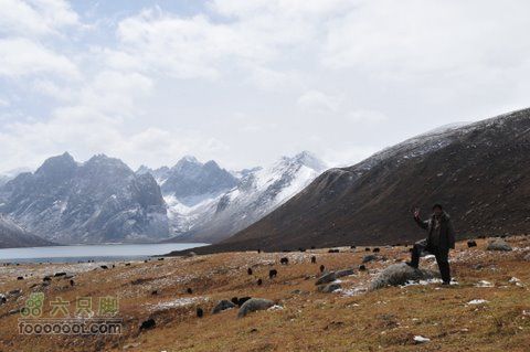 久治至色达行程DSC_9618