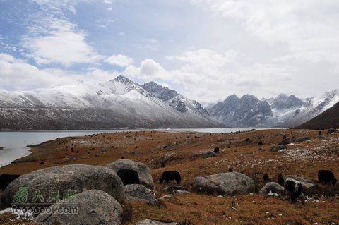 久治至色达行程DSC_9626