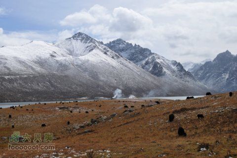 久治至色达行程DSC_9633