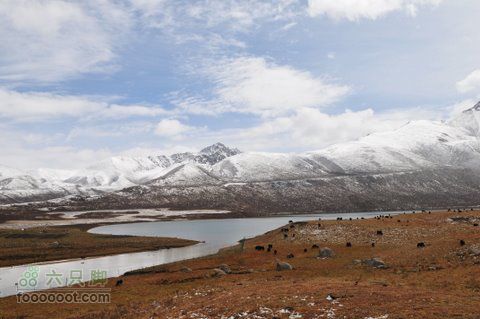 久治至色达行程DSC_9635