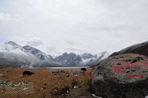 久治至色达行程DSC_9638