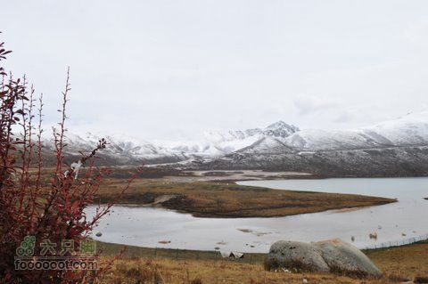 久治至色达行程DSC_9653