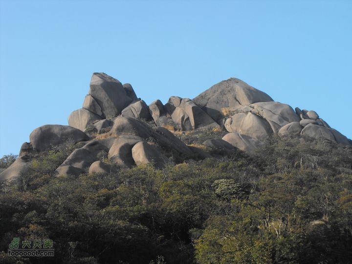 广西贺州狗耳山路上看峰顶