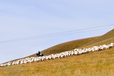 甘南扎尕那之旅DSC_7700