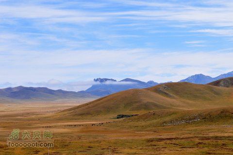 甘南扎尕那之旅DSC_7710