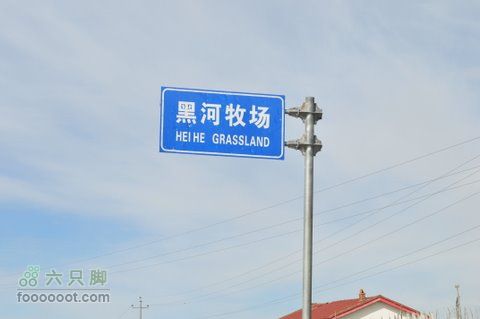甘南扎尕那之旅DSC_7716