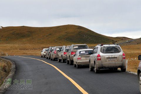 甘南扎尕那之旅DSC_7837