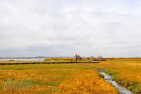 甘南扎尕那之旅DSC_7853