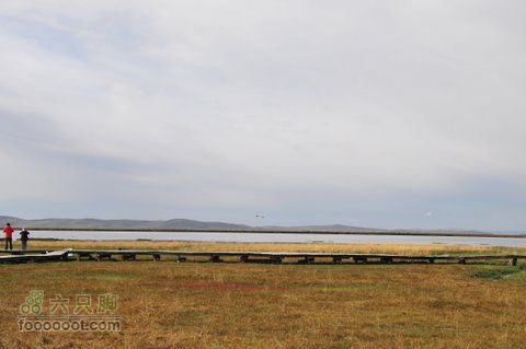甘南扎尕那之旅DSC_7854