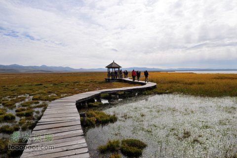 甘南扎尕那之旅DSC_7855