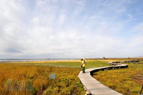 甘南扎尕那之旅DSC_7858