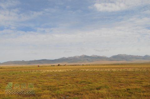甘南扎尕那之旅DSC_7861