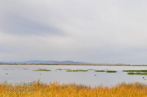 甘南扎尕那之旅DSC_7868