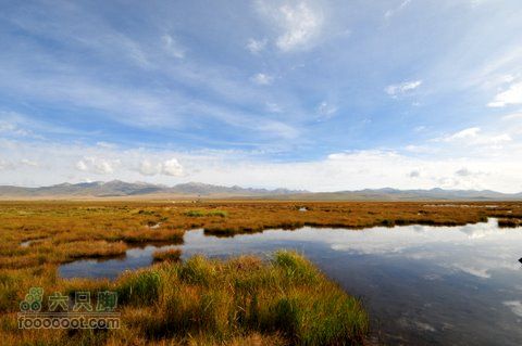 甘南扎尕那之旅DSC_7876