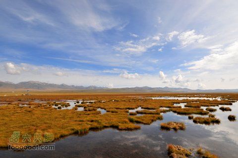 甘南扎尕那之旅DSC_7886
