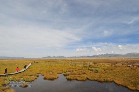 甘南扎尕那之旅DSC_7887