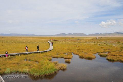甘南扎尕那之旅DSC_7892