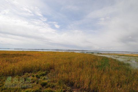 甘南扎尕那之旅DSC_7895