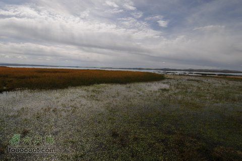 甘南扎尕那之旅DSC_7896