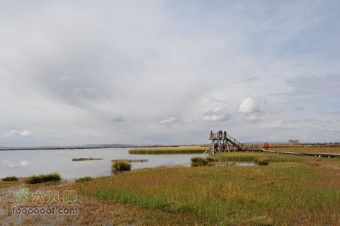 甘南扎尕那之旅DSC_7897