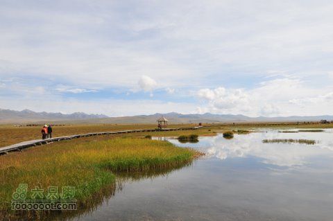 甘南扎尕那之旅DSC_7900