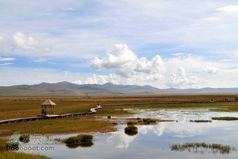 甘南扎尕那之旅DSC_7907