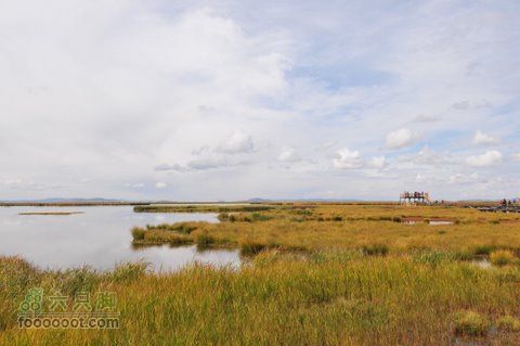 甘南扎尕那之旅DSC_7914