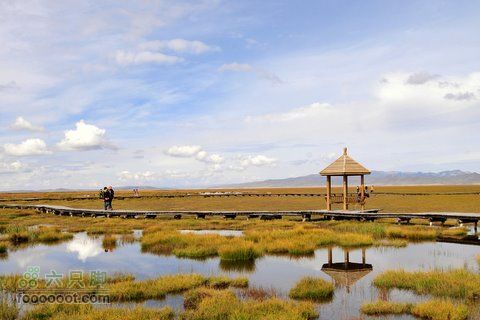 甘南扎尕那之旅DSC_7915