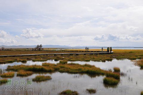 甘南扎尕那之旅DSC_7918