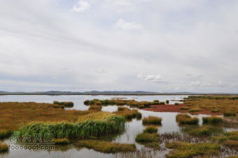 甘南扎尕那之旅DSC_7919