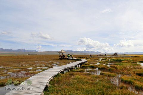 甘南扎尕那之旅DSC_7923