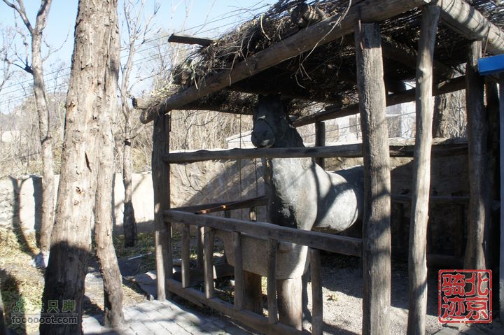 北京骑迹31 寻访北京地区最早的石刻文字，韭园访古探幽nEO_IMG_DSC00140
