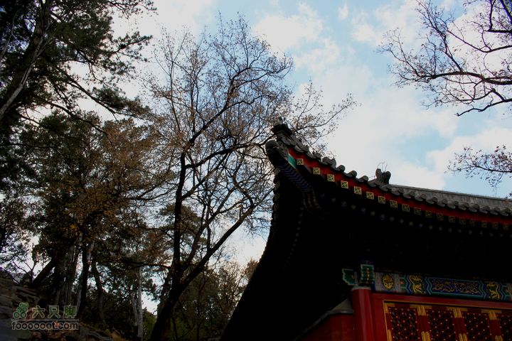 香山公园:东门-小路-香炉峰-大路-香山寺-东门勤政殿