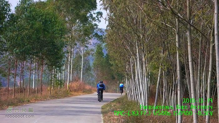 2010 12 19惠洲博羅 -柏塘鎮 > 鵝寨 > 橫河鎮P1340975