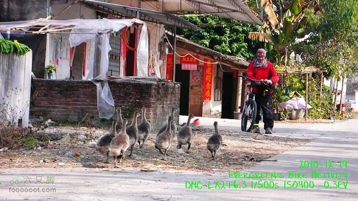 2010 12 19惠洲博羅 -柏塘鎮 > 鵝寨 > 橫河鎮P1340990
