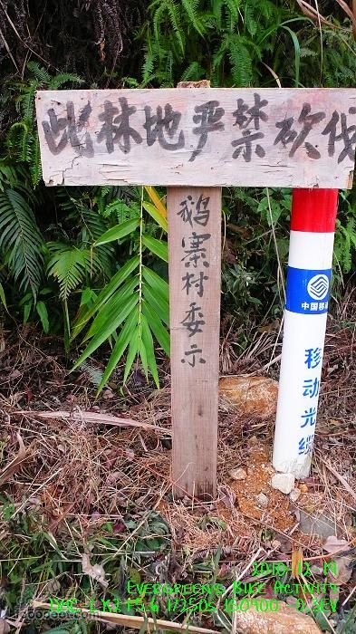 2010 12 19惠洲博羅 -柏塘鎮 > 鵝寨 > 橫河鎮P1350011