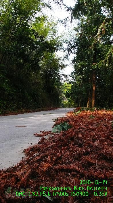 2010 12 19惠洲博羅 -柏塘鎮 > 鵝寨 > 橫河鎮P1350013