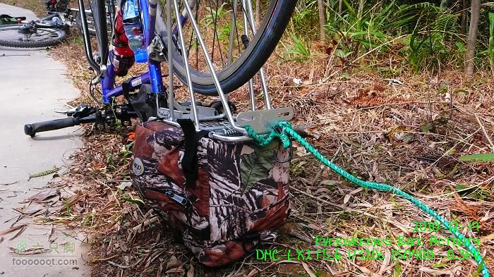 2010 12 19惠洲博羅 -柏塘鎮 > 鵝寨 > 橫河鎮P1350022