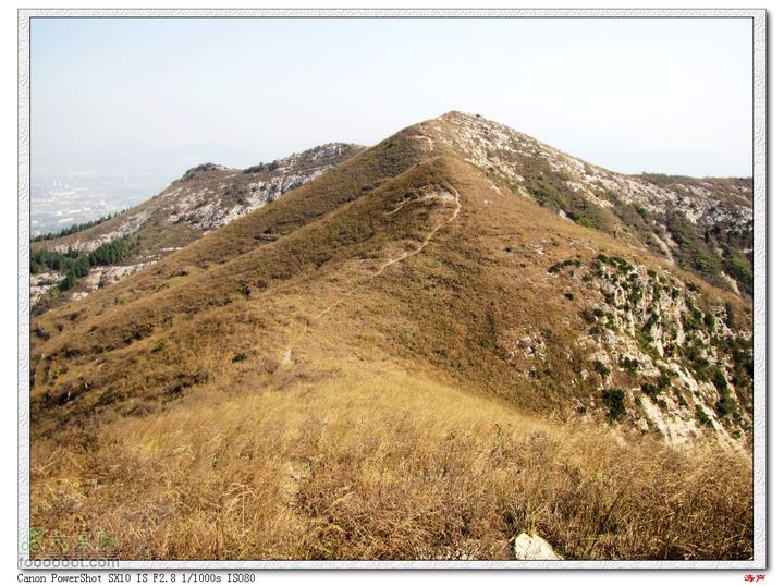 博山禹王山-白石洞山顶草地