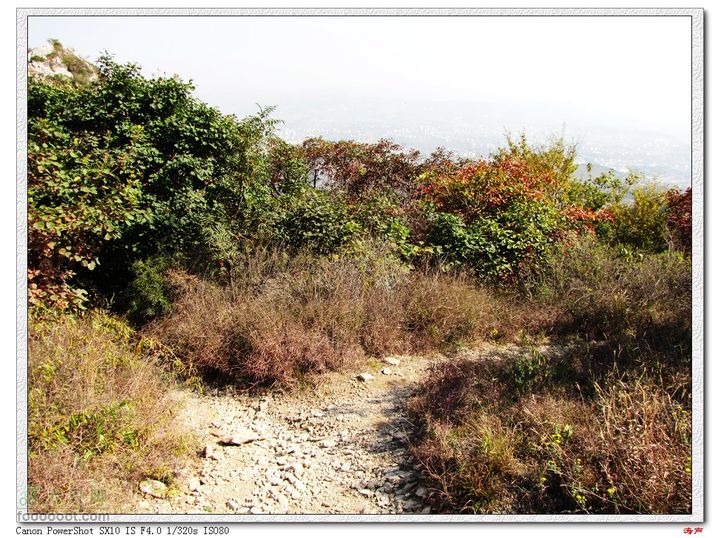博山禹王山-白石洞岔路口