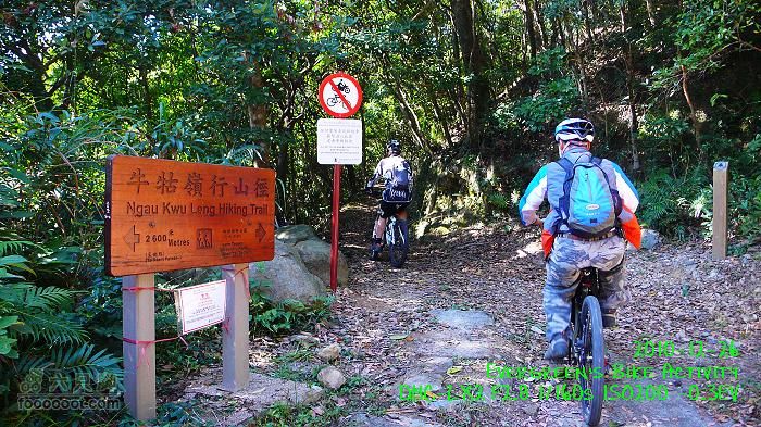 2010 12 26 牛牯嶺 雞公山 桂角山P1350374