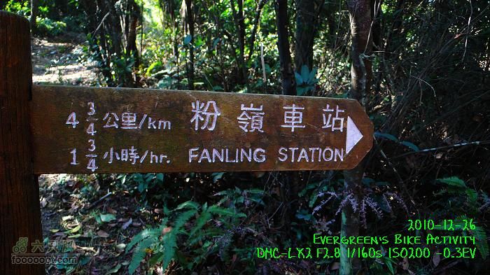 2010 12 26 牛牯嶺 雞公山 桂角山P1350379