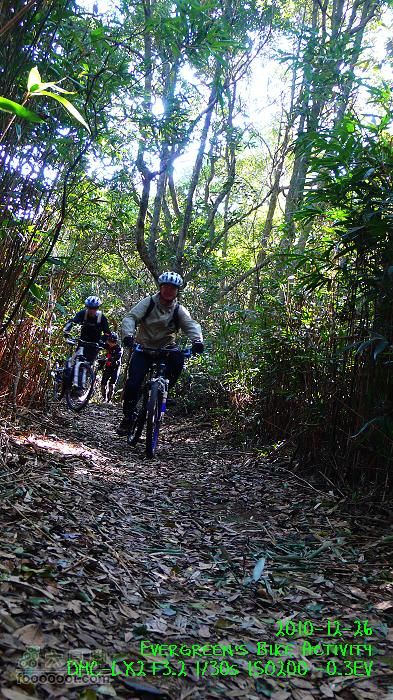 2010 12 26 牛牯嶺 雞公山 桂角山P1350392