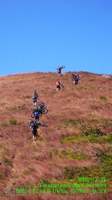 2010 12 26 牛牯嶺 雞公山 桂角山P1350436