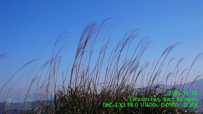 2010 12 26 牛牯嶺 雞公山 桂角山P1350462