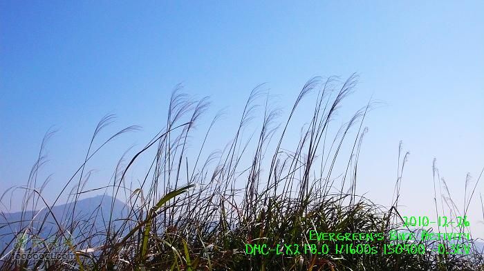 2010 12 26 牛牯嶺 雞公山 桂角山P1350463