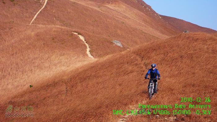 2010 12 26 牛牯嶺 雞公山 桂角山P1350484