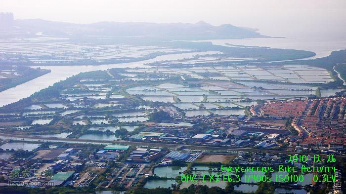 2010 12 26 牛牯嶺 雞公山 桂角山P1350514
